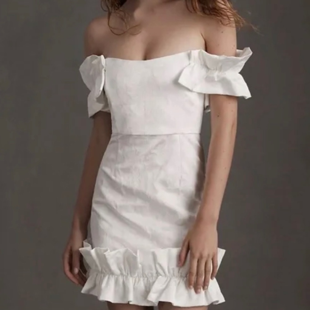 V. Chapman Hollyhock Ruffled Corset Mini Dress | fits like 2